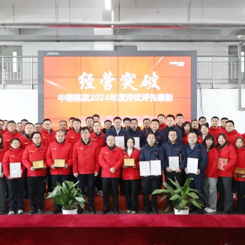 Business breakthrough! The 2024 Annual Evaluation and Recognition Conference of Sino-German DOLANG was successfully concluded.